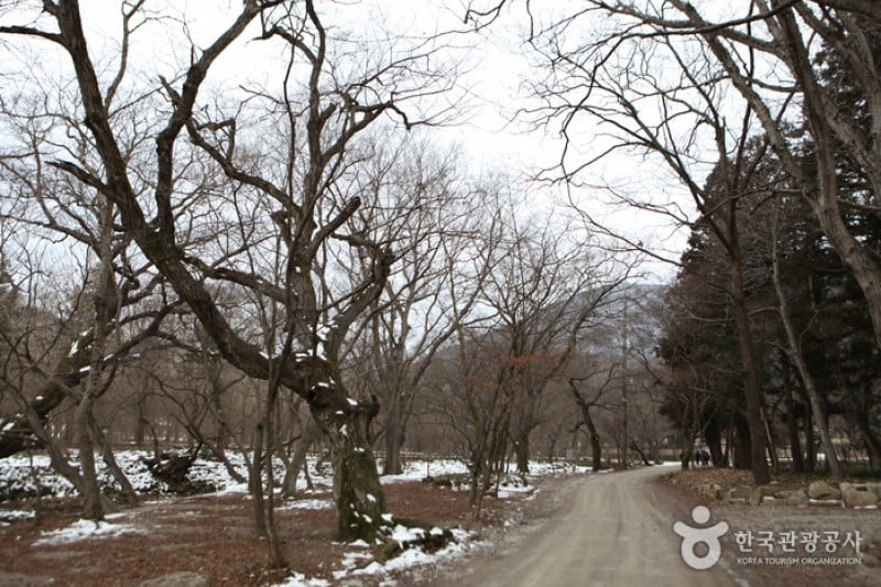 禅云山道立公园