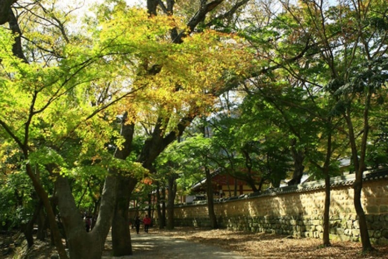禅云山道立公园