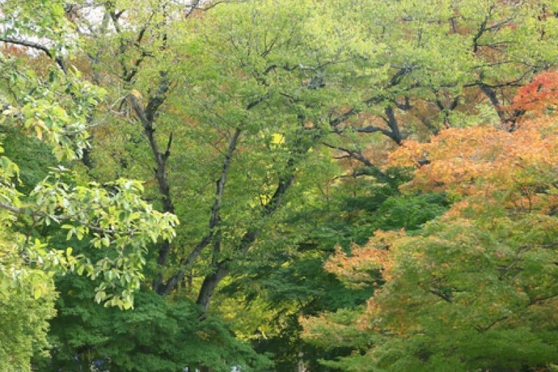 禅云山道立公园