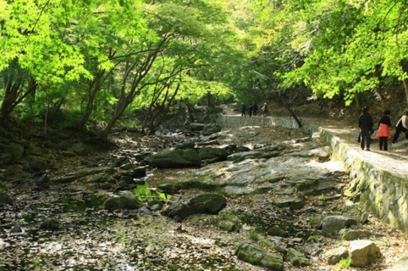 禅云山道立公园