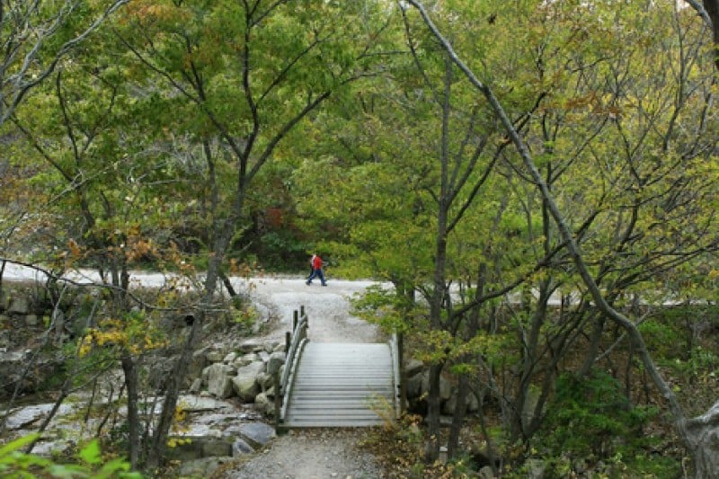 禅云山道立公园