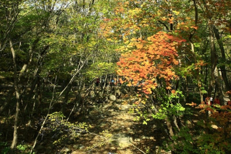 禅云山道立公园