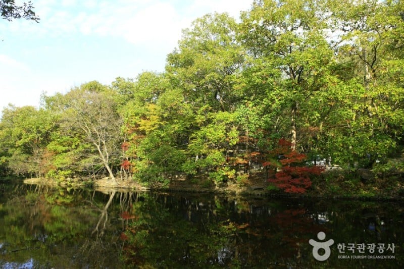 禅云山道立公园