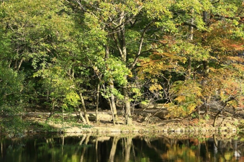 禅云山道立公园