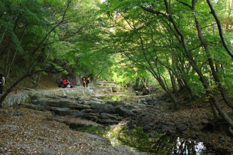 禅云山道立公园
