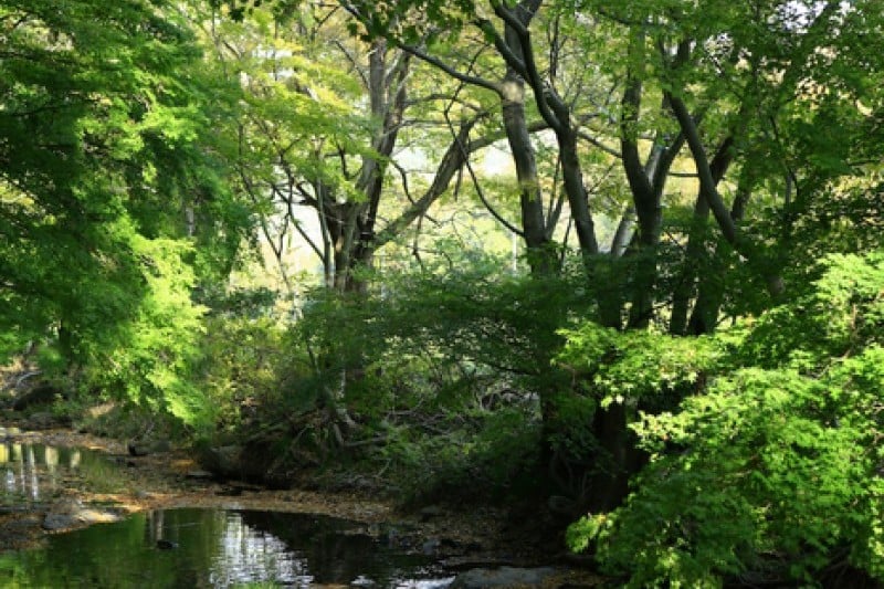 禅云山道立公园