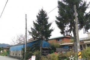 智异山围路探访