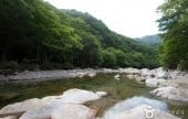 蛇巳沟溪谷