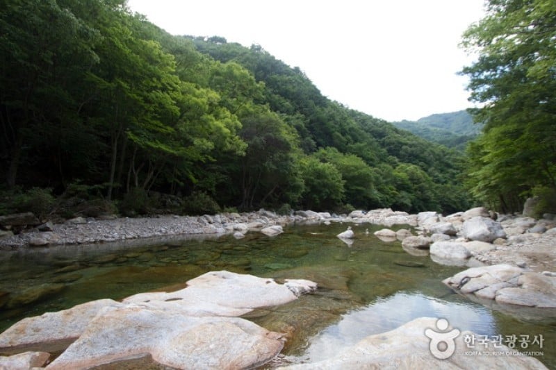 蛇巳沟溪谷