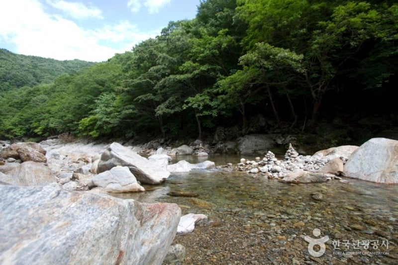 蛇巳沟溪谷