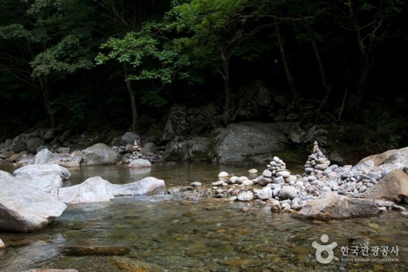 蛇巳沟溪谷