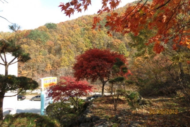 智异山可汗酒店[优秀住宿设施] 