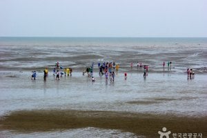 冬湖海水浴场