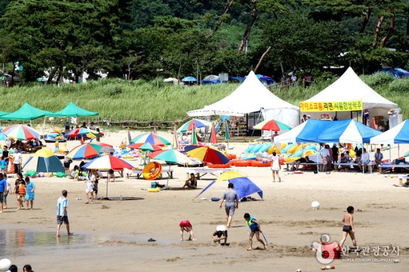 茅项海水浴场 (15/18)