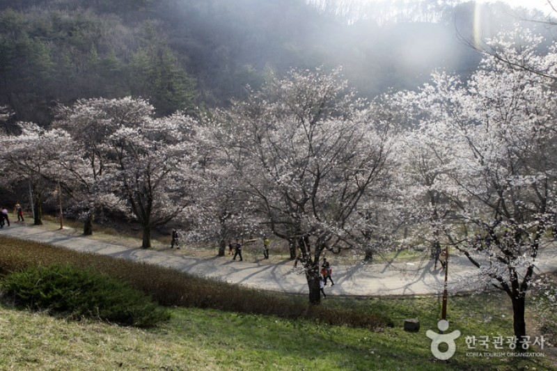 马耳山道立公园 (20/22)