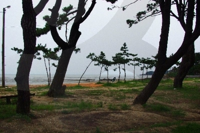 冬湖海水浴场 (16/16)