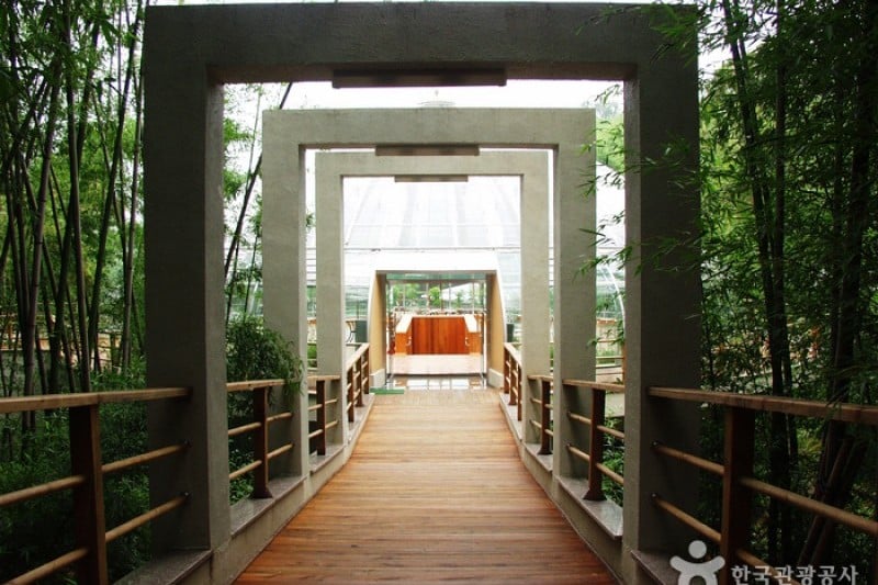 竹绿园 (5/9)