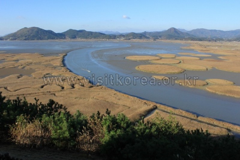 顺天湾湿地 (3/70)