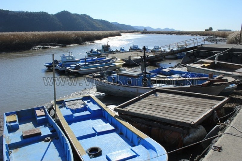 顺天湾湿地 (5/70)