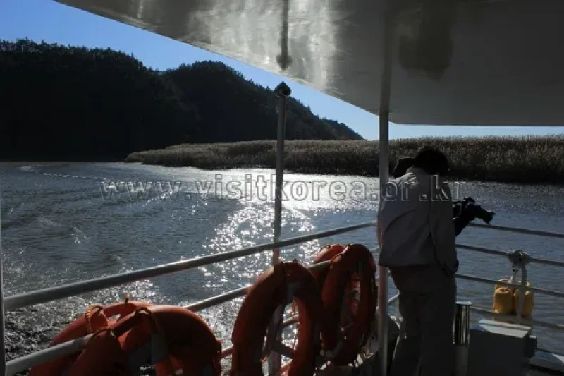 顺天湾湿地 (9/70)