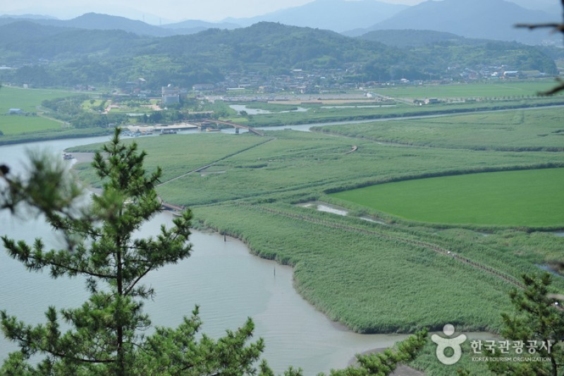顺天湾湿地 (11/70)