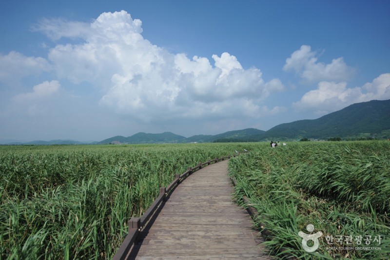 顺天湾湿地 (13/70)