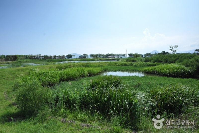 顺天湾湿地 (14/70)