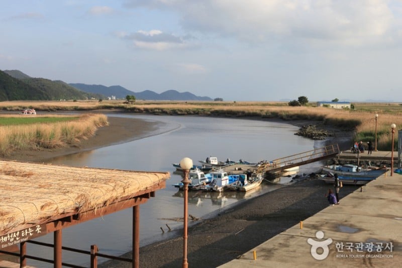 顺天湾湿地 (17/70)