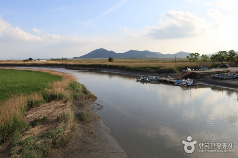 顺天湾湿地 (20/70)