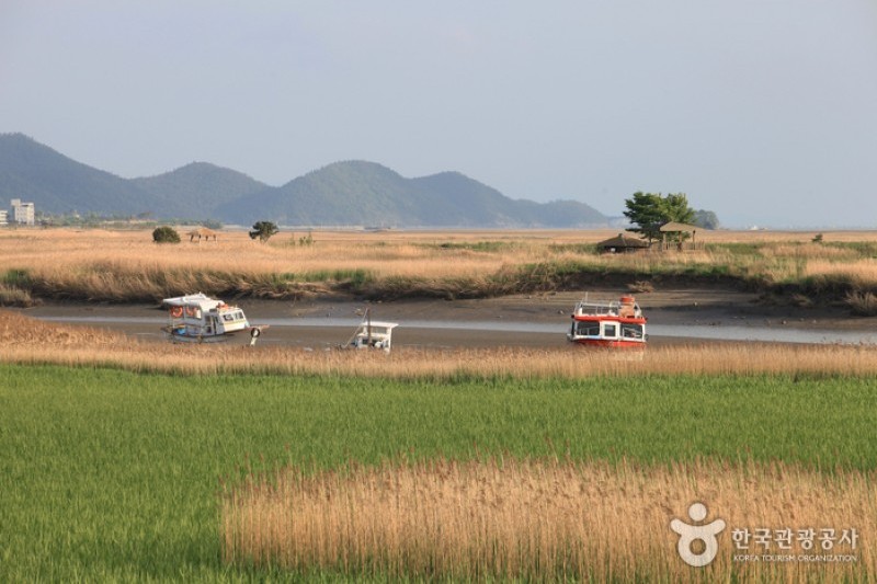 顺天湾湿地 (21/70)