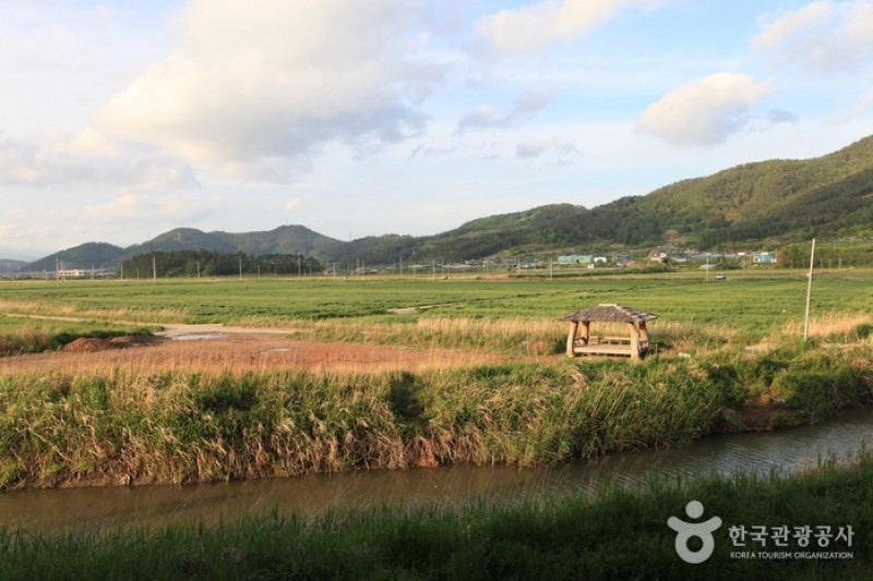 顺天湾湿地 (31/70)