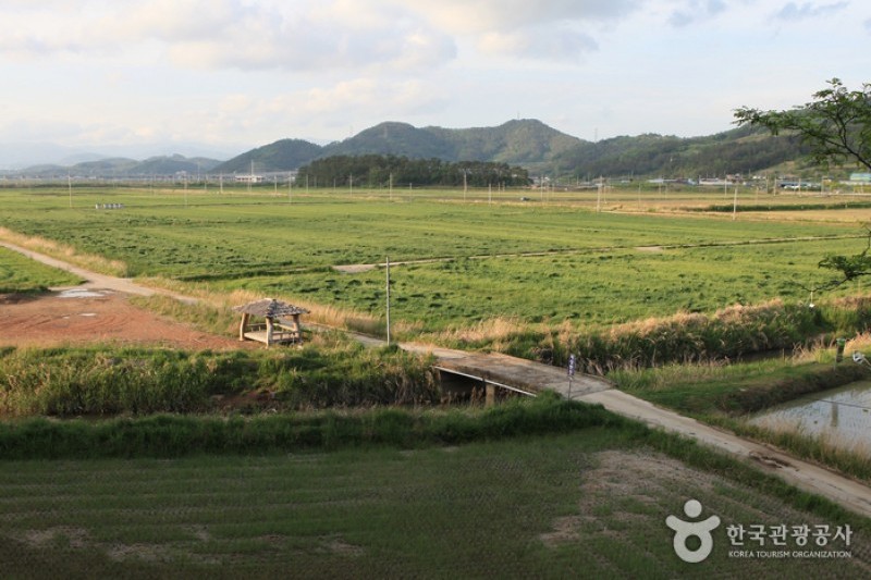 顺天湾湿地 (32/70)
