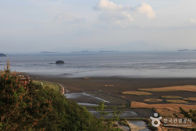顺天湾湿地 (35/70)