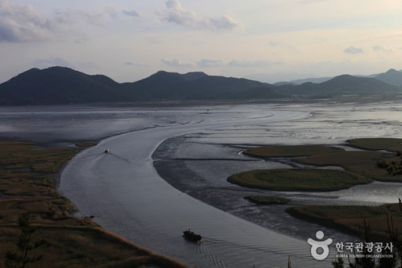顺天湾湿地 (36/70)