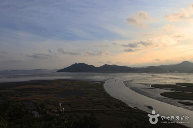顺天湾湿地 (37/70)