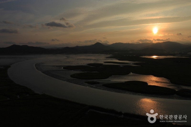 顺天湾湿地 (39/70)