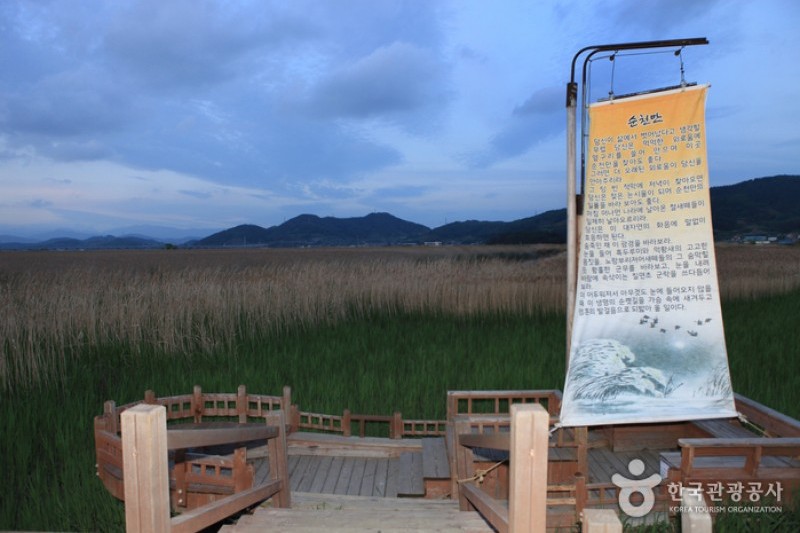 顺天湾湿地 (47/70)