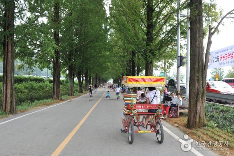 潭阳水杉林荫路 (15/17)