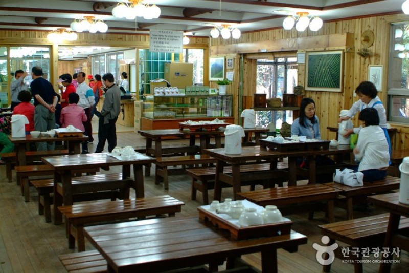 宝城绿茶园-大韩茶园 (4/7)