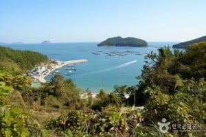 全南莞岛青山[慢城]
