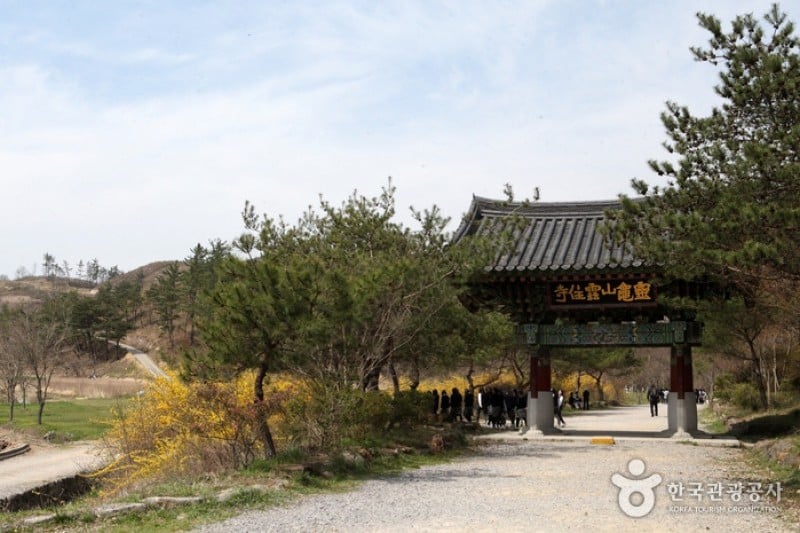 云住寺 (2/25)