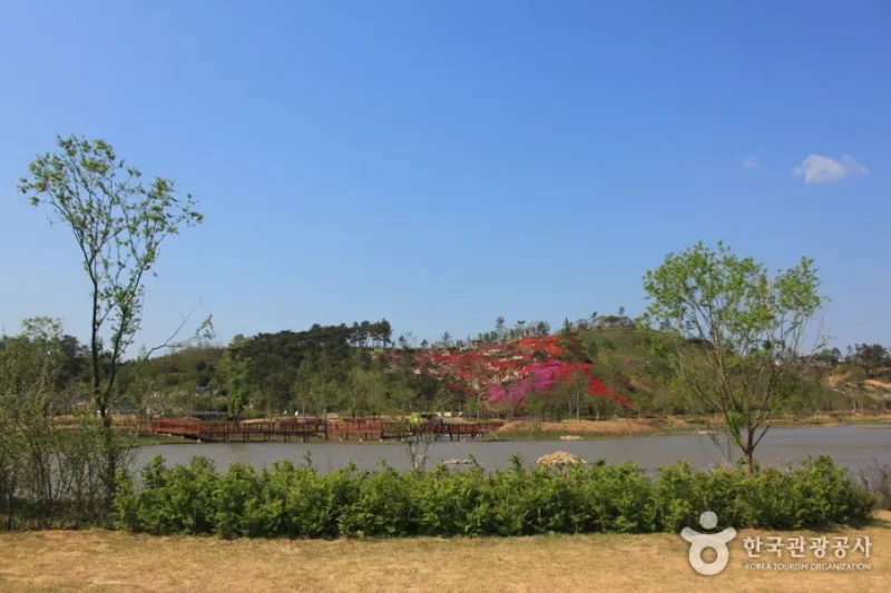 顺天湾国际园艺博览会