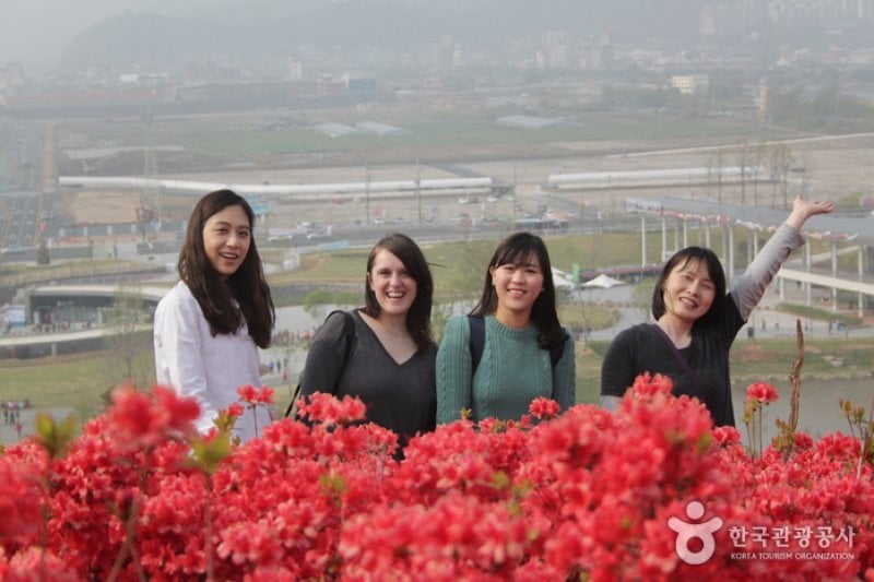 顺天湾国际园艺博览会