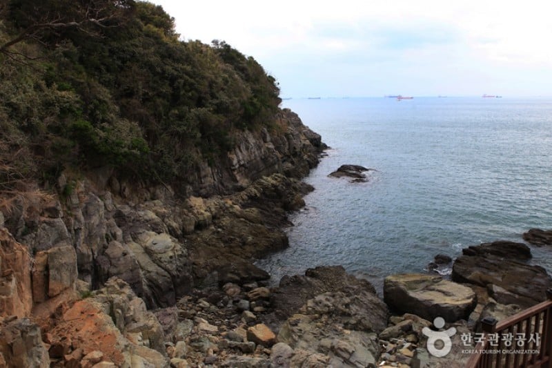 梧桐岛