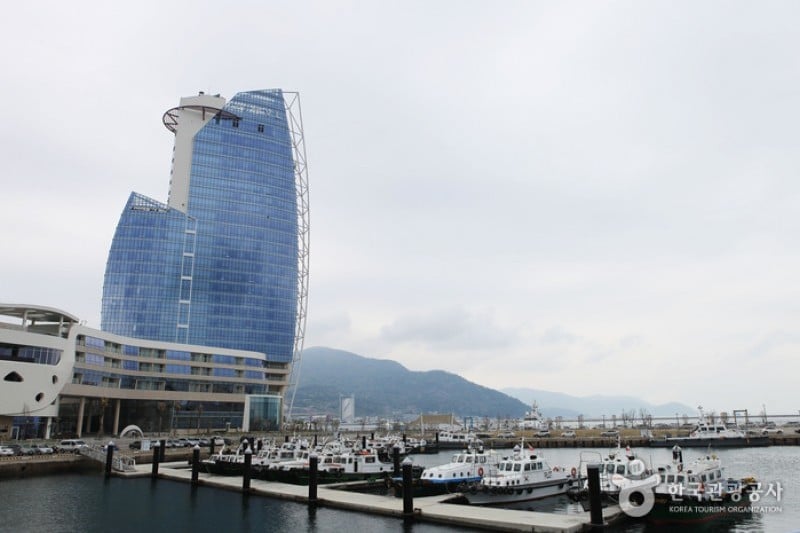 梧桐岛