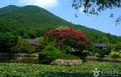 云林山房