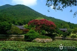 云林山房