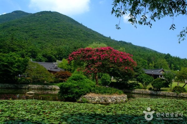 云林山房