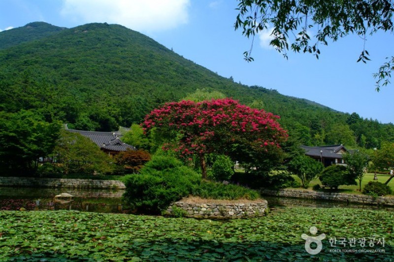云林山房 (1/7)