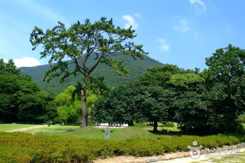 云林山房 (2/7)